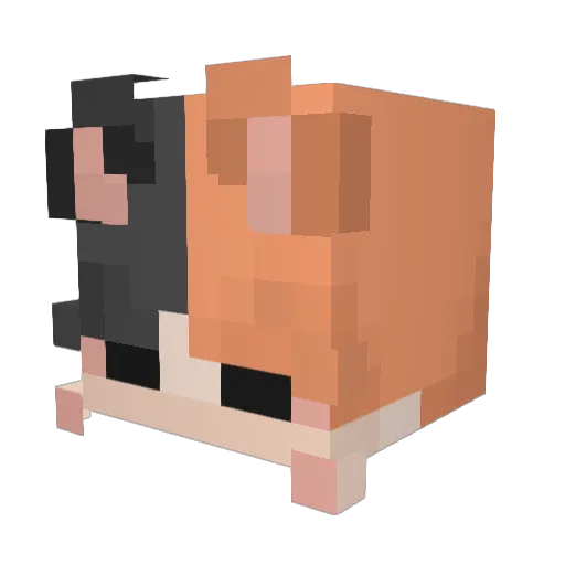 C_var28 Minecraft avatar head, 3D render