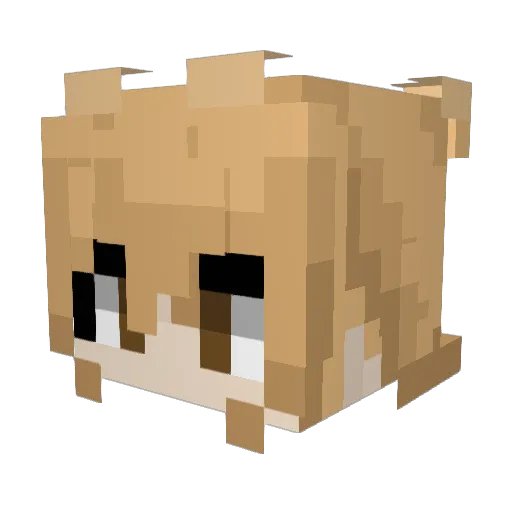 C_yanyan Minecraft avatar head, 3D render