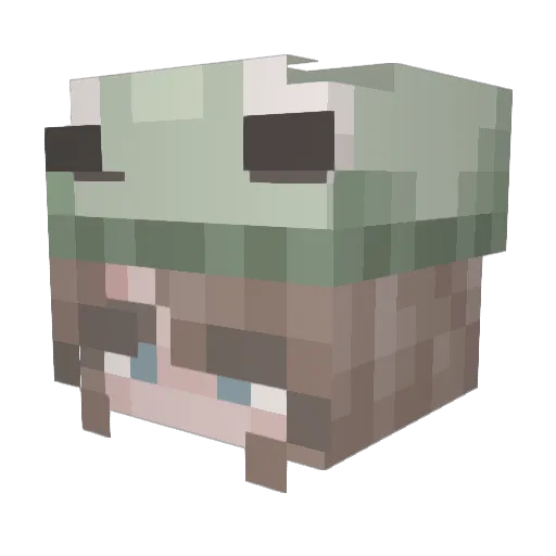 Ca1ig0 Minecraft avatar head, 3D render