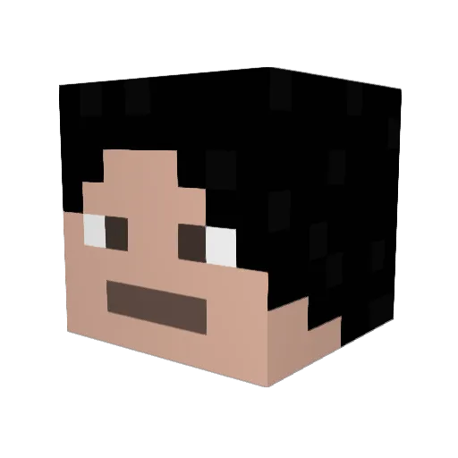 CaCaUdAmAsSa Minecraft avatar head, 3D render