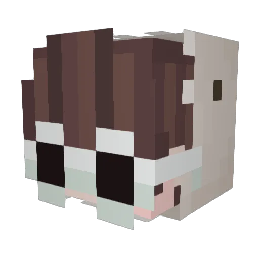CaChayy Minecraft avatar head, 3D render