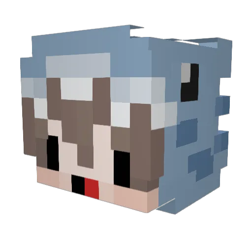 CaMap_MC Minecraft avatar head, 3D render