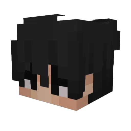 CaPyBaRa1337__ Minecraft avatar head, 3D render