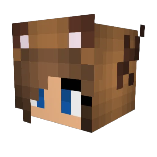 CaRRiBouu Minecraft avatar head, 3D render