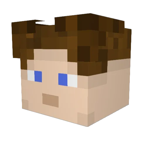 CaSurvivor314 Minecraft avatar head, 3D render