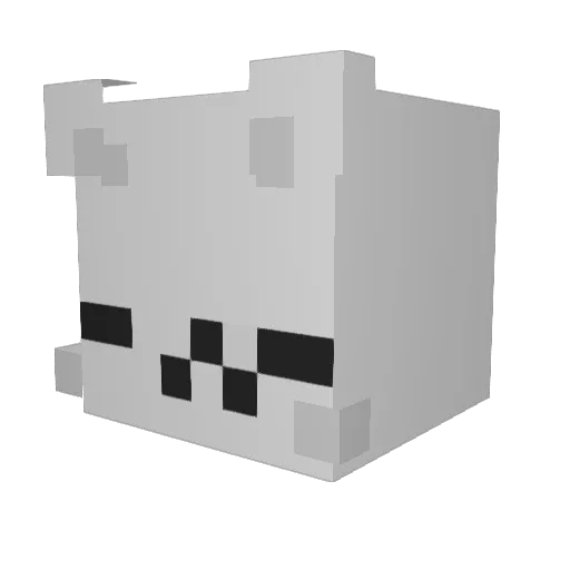 CaTnoRR Minecraft avatar head, 3D render