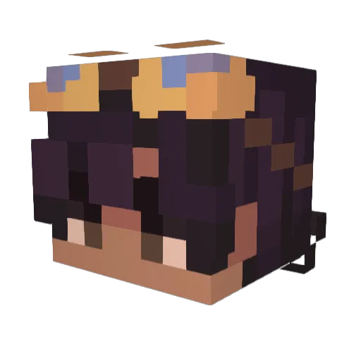 Cabbageguyy Minecraft avatar head, 3D render