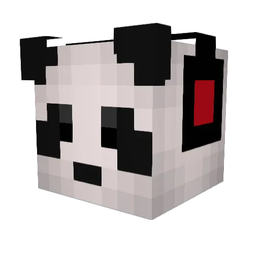 Cabbageman67 Minecraft avatar head, 3D render