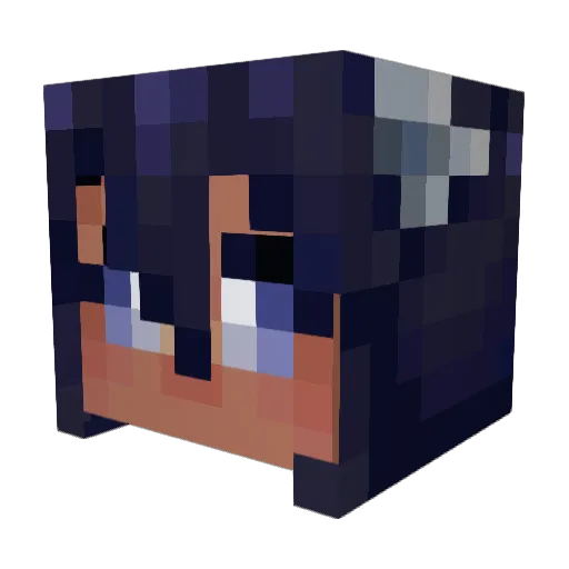 Cabbipi Minecraft avatar head, 3D render