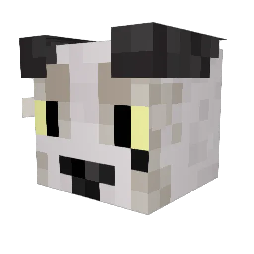 CabrinhaX Minecraft avatar head, 3D render