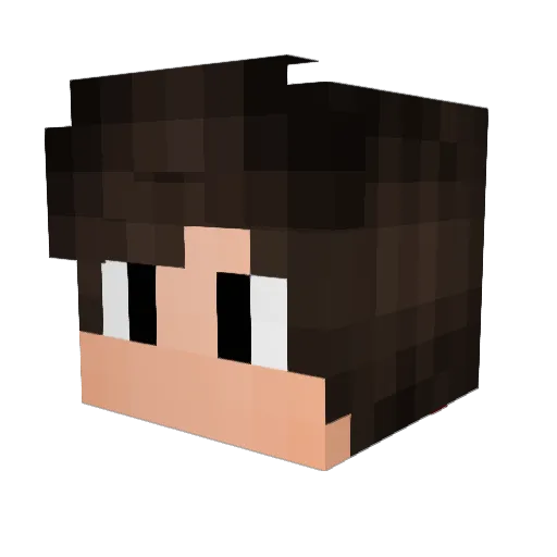Cac0nym Minecraft avatar head, 3D render