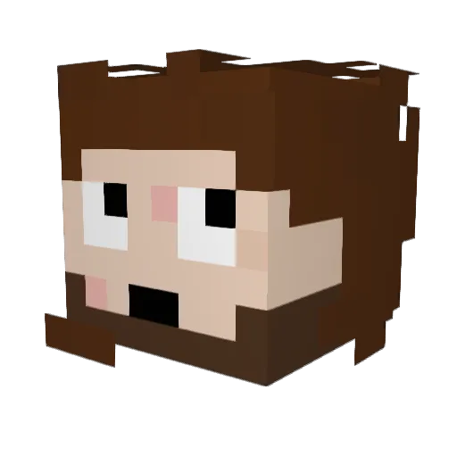 CacaBoudin69 Minecraft avatar head, 3D render