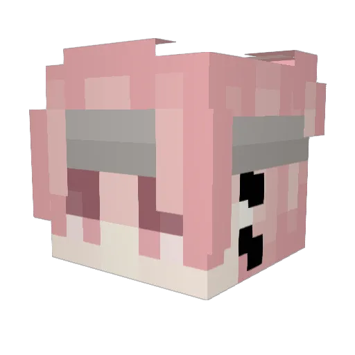 Cacai0 Minecraft avatar head, 3D render