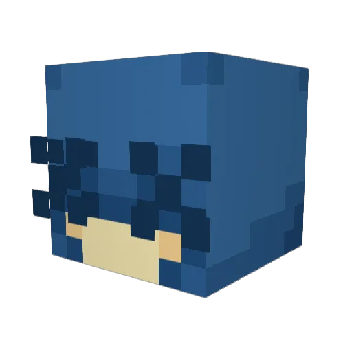 Cacatahue Minecraft avatar head, 3D render
