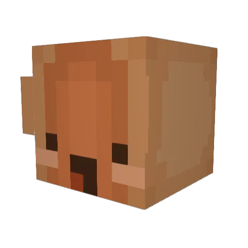Cachetoni18 Minecraft avatar head, 3D render