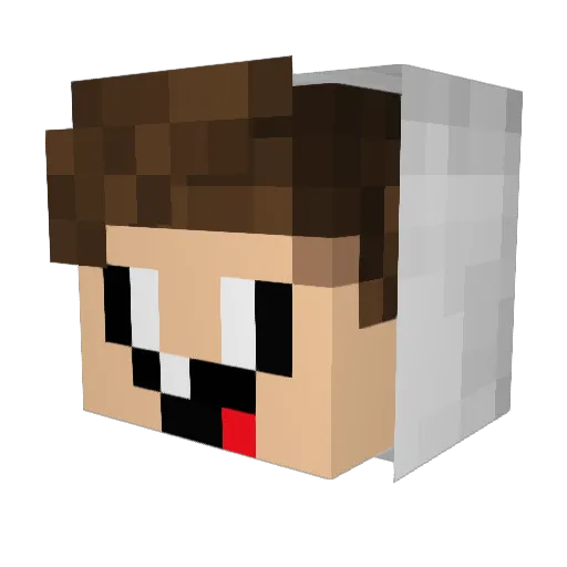 Cacikk Minecraft avatar head, 3D render