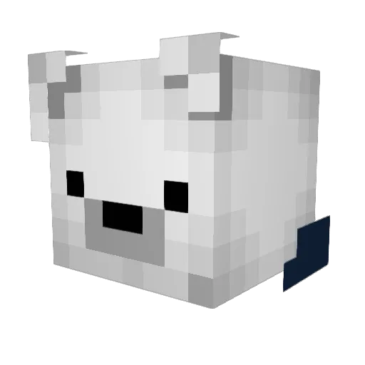 Cacikpro46 Minecraft avatar head, 3D render