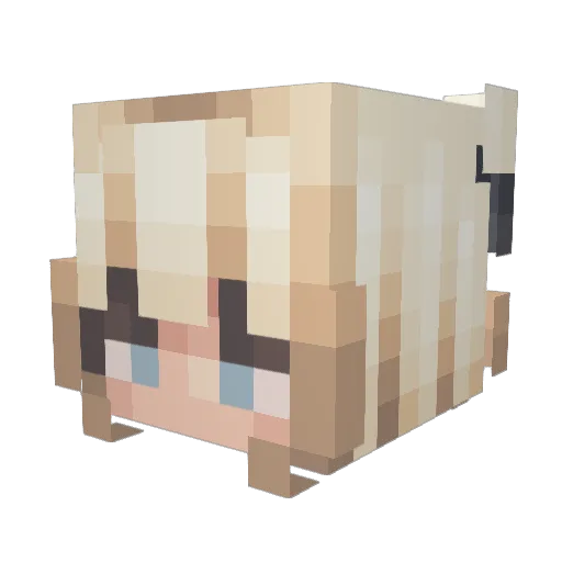 CaciqueTw Minecraft avatar head, 3D render