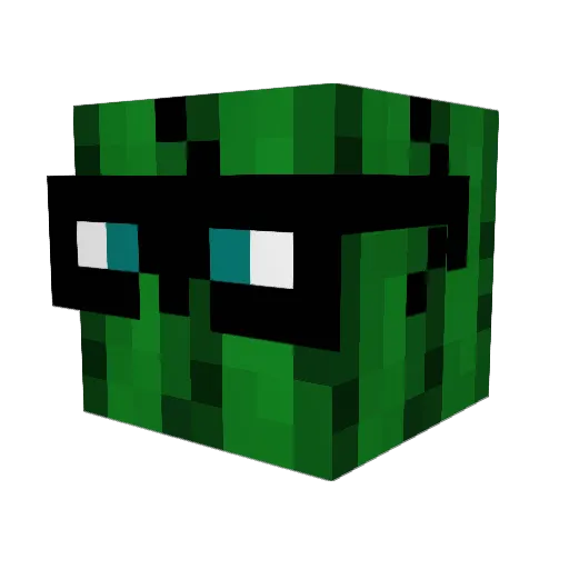 CactiMeg Minecraft avatar head, 3D render
