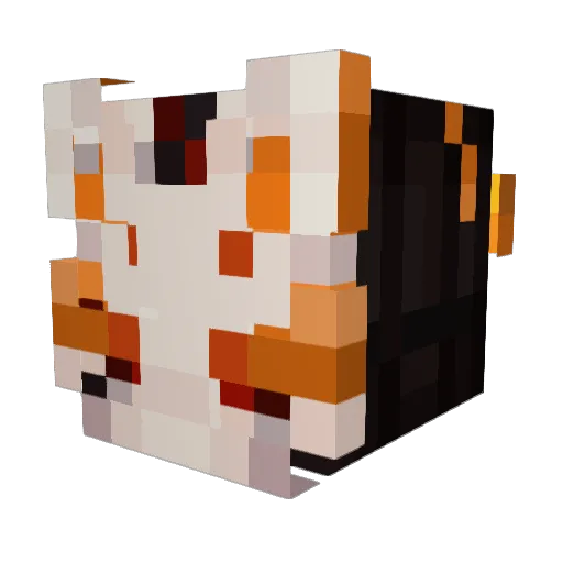 Cacti_Jones Minecraft avatar head, 3D render