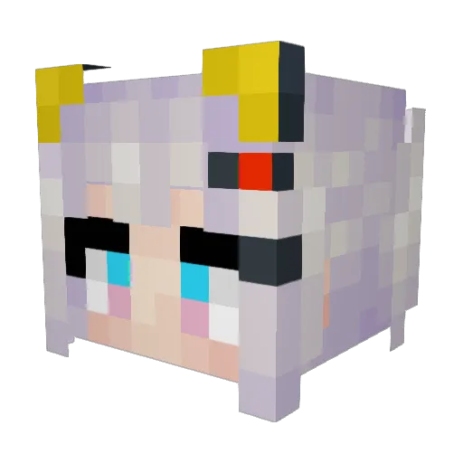CactusBunnie Minecraft avatar head, 3D render