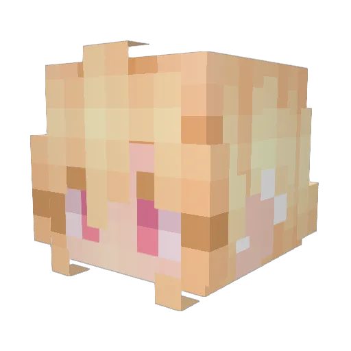 CactusGrower Minecraft avatar head, 3D render