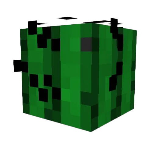CactusInASuit Minecraft avatar head, 3D render