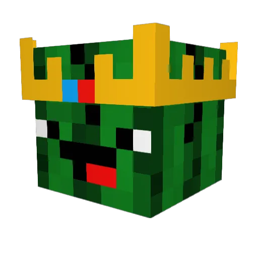 CactusIsAll Minecraft avatar head, 3D render