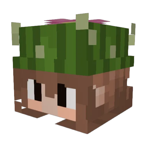 CactusJay Minecraft avatar head, 3D render