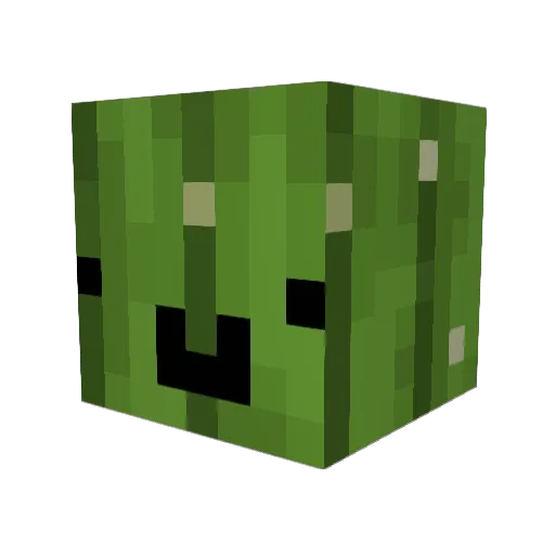 CactusPatate Minecraft avatar head, 3D render