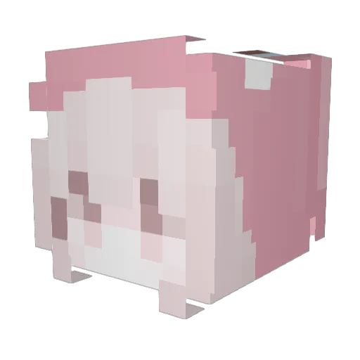 CactusPrickler45 Minecraft avatar head, 3D render