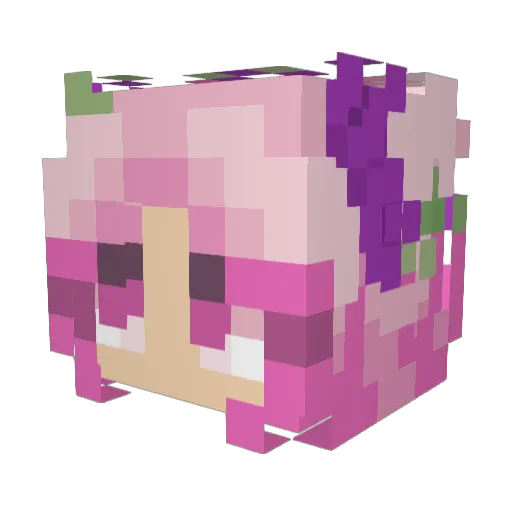 CactusQueen11 Minecraft avatar head, 3D render