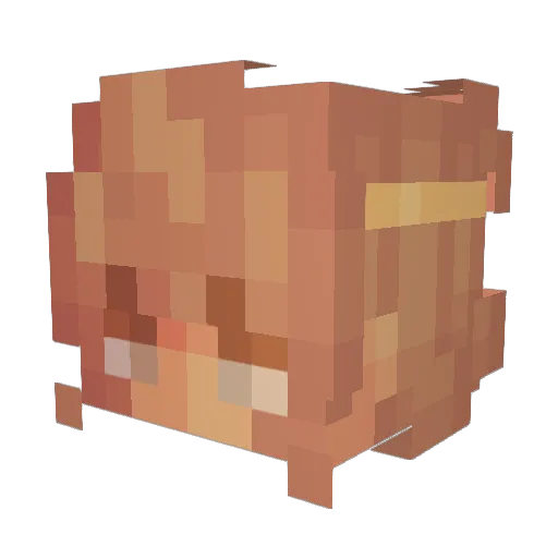 CactusXiled Minecraft avatar head, 3D render