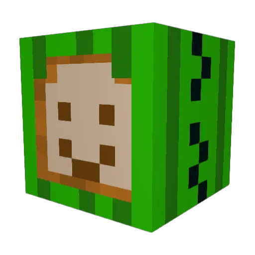 Cactus_monke Minecraft avatar head, 3D render