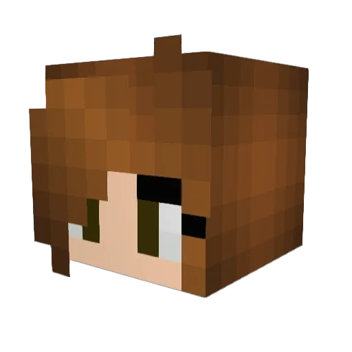 CactusatMidnight Minecraft avatar head, 3D render