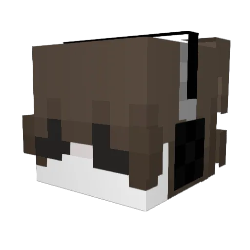 Cactusloverr Minecraft avatar head, 3D render