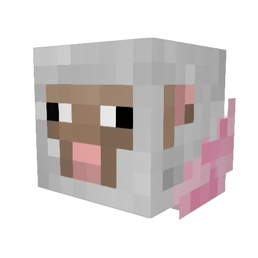 Cactuso20 Minecraft avatar head, 3D render