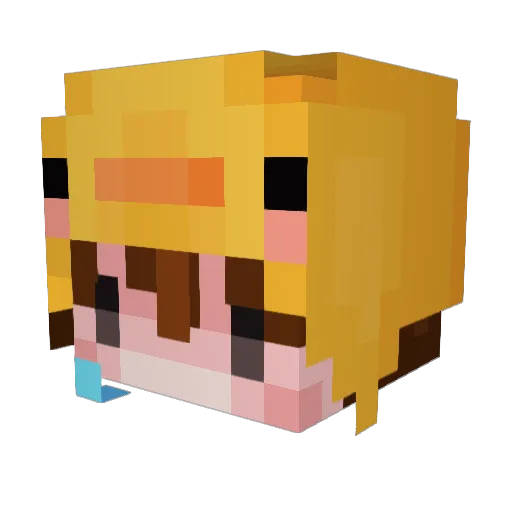 Cactuspig123 Minecraft avatar head, 3D render