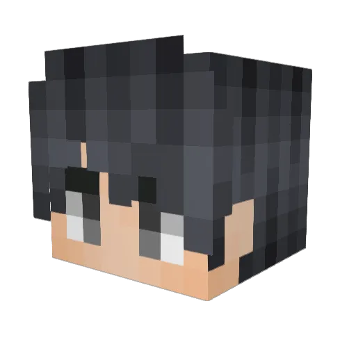 Cactusr34 Minecraft avatar head, 3D render