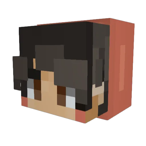 CactussWater Minecraft avatar head, 3D render