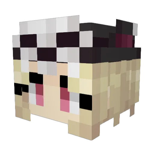 Cadaver5191 Minecraft avatar head, 3D render