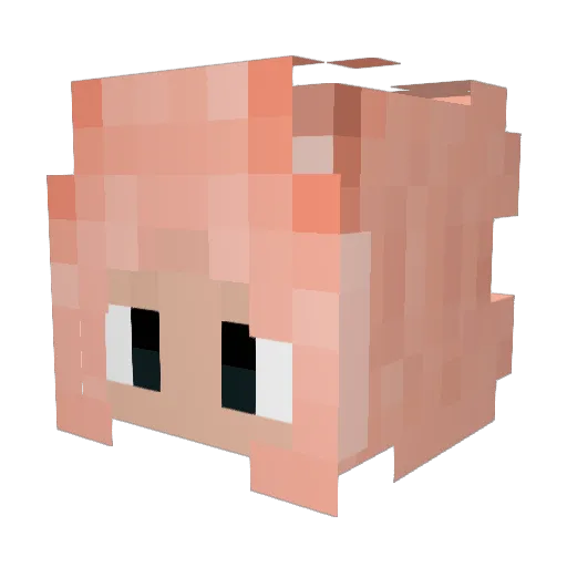 Caddishes Minecraft avatar head, 3D render