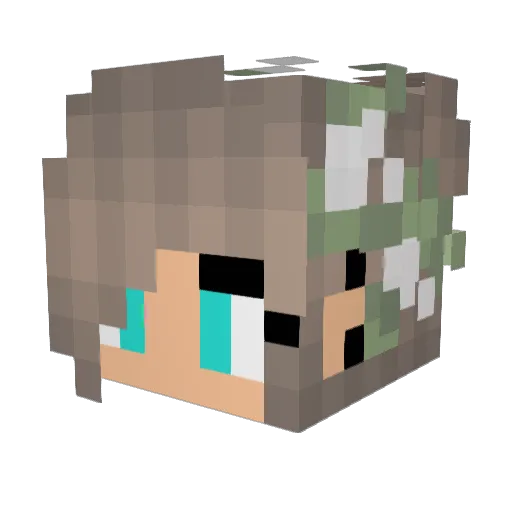 Cadduddy Minecraft avatar head, 3D render