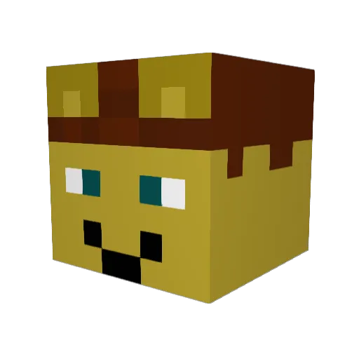 CaddyCaddy Minecraft avatar head, 3D render