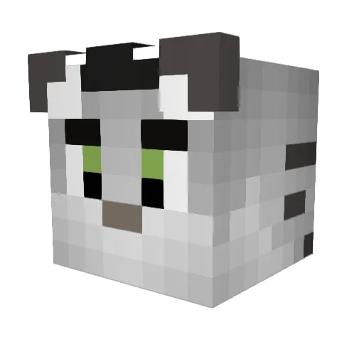 CadeLionell Minecraft avatar head, 3D render