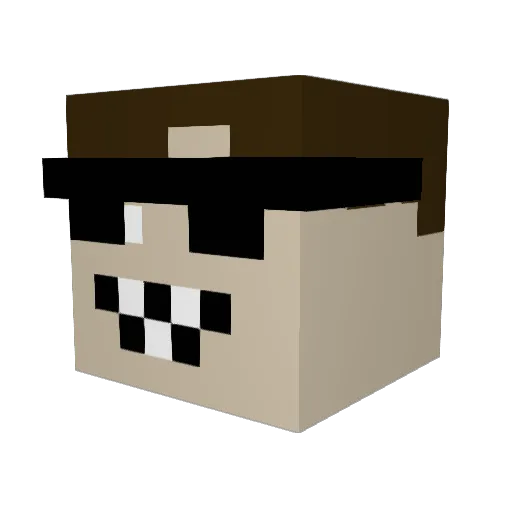 Cademan2010 Minecraft avatar head, 3D render