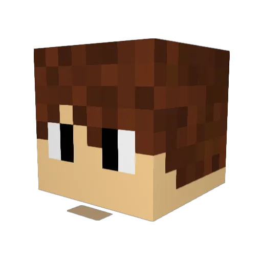Caden08 Minecraft avatar head, 3D render
