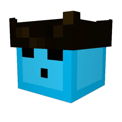 Caden117 Minecraft avatar head, 3D render