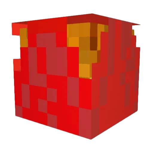 Caden20123 Minecraft avatar head, 3D render