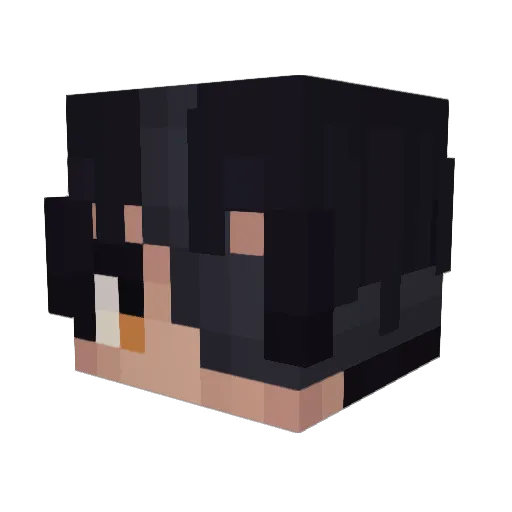 Caden574 Minecraft avatar head, 3D render